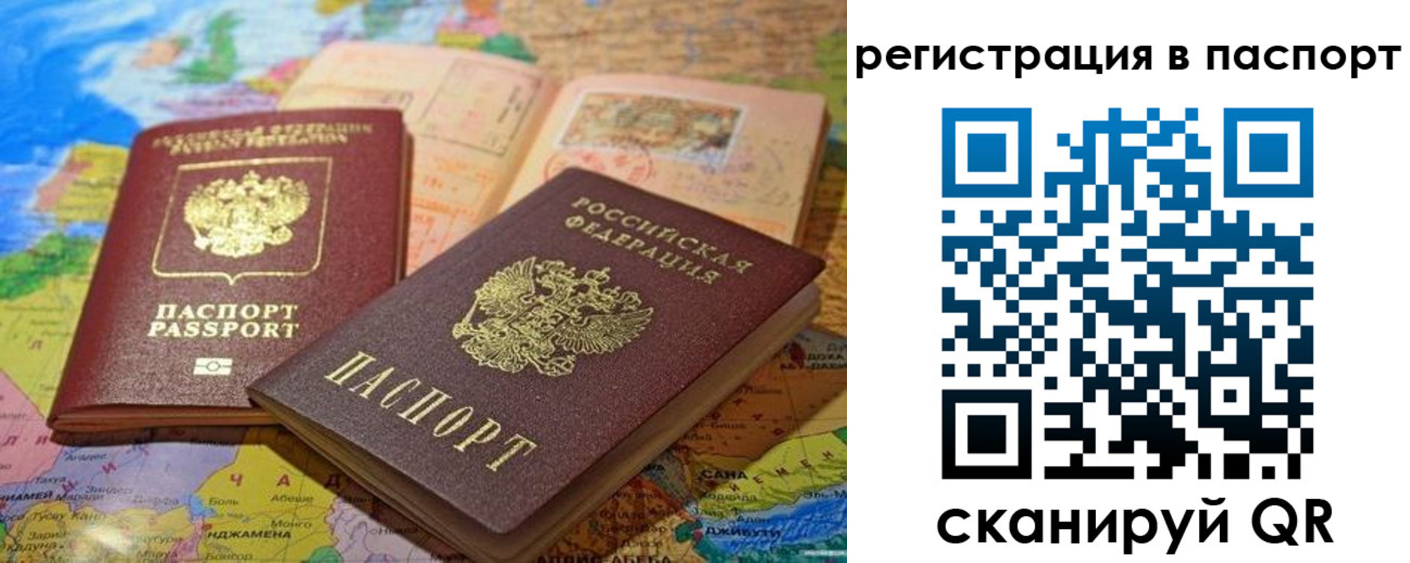 временная регистрация гарантия в Волосово